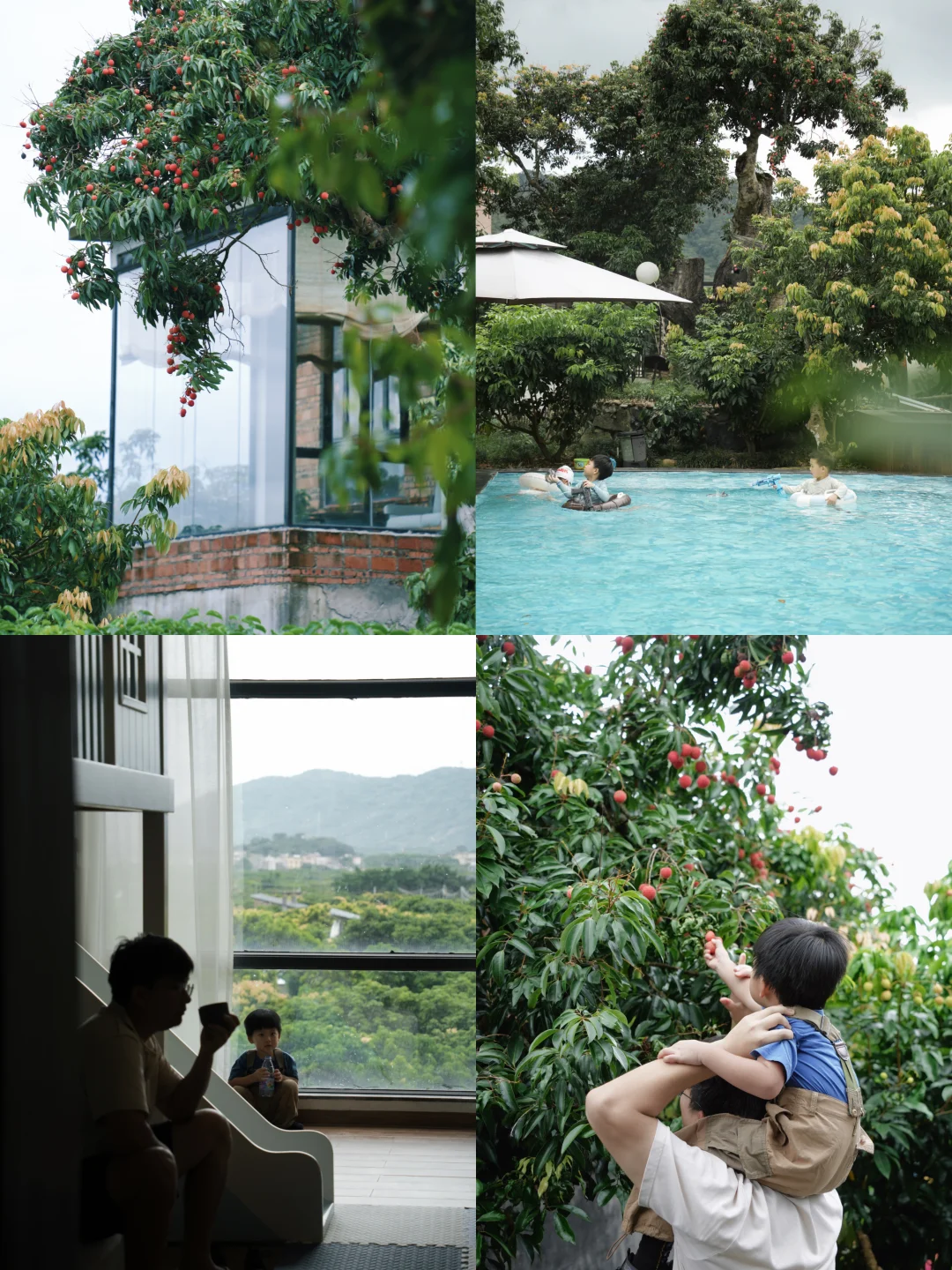 亲子体验｜住进十里荔枝林  山泉水泳池嬉戏
