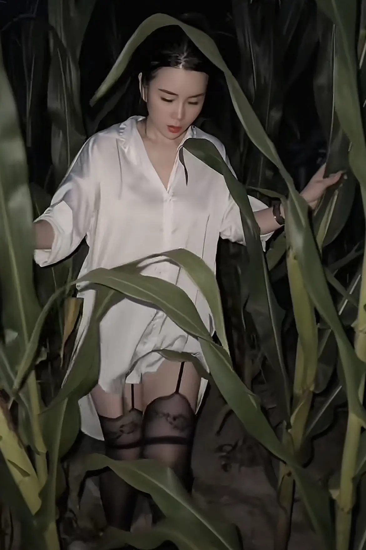 玉米地
