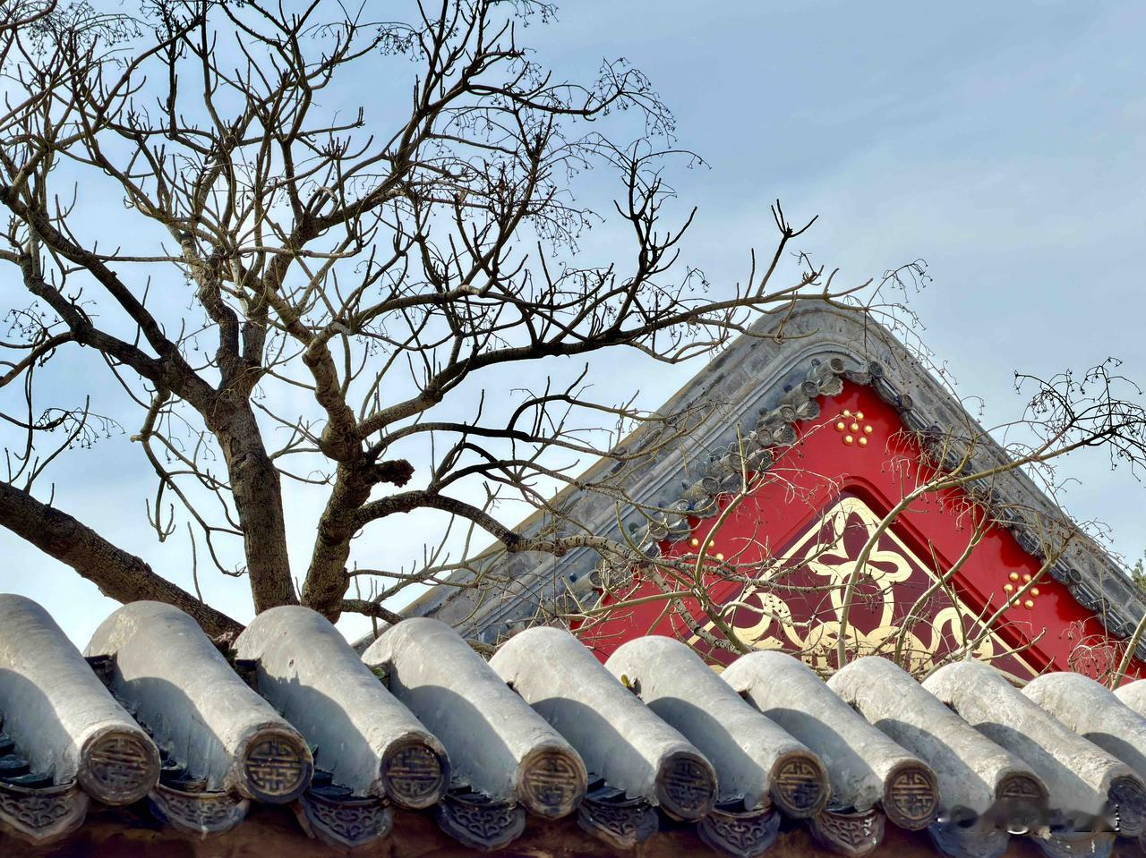 济南上新街藏着不少惊喜。古建筑博物馆在古墙中露出一角，就像神秘宝藏不经意间展露真