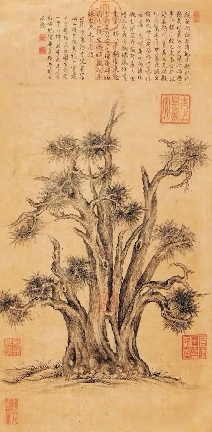 于高龄老人访谈录解释
今天早上在望江喝茶碰到一个年过96岁高龄老人自己一个出来喝
