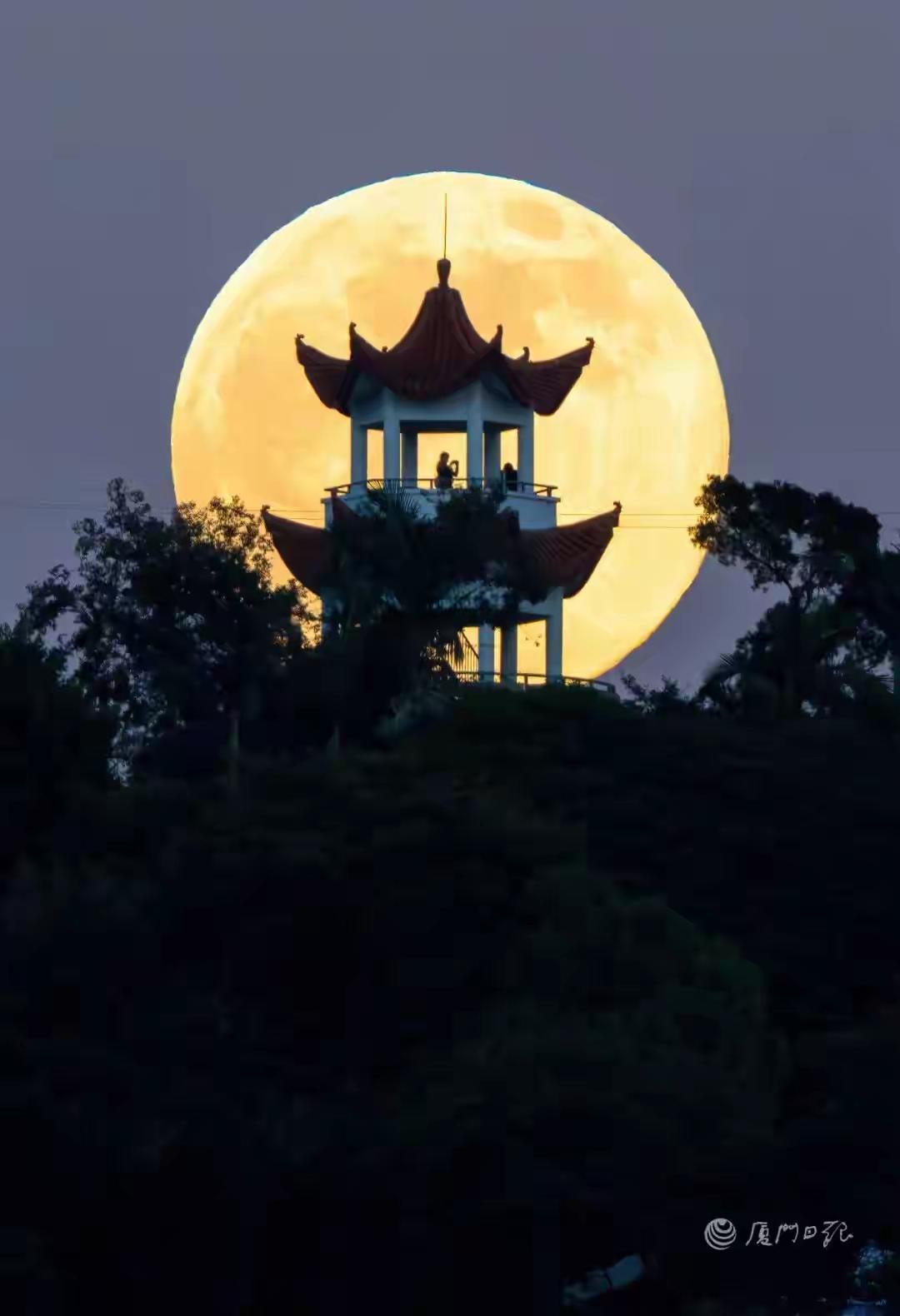 上联：夜色朦胧花影动，诚邀下联下联：月下独酌影相随。