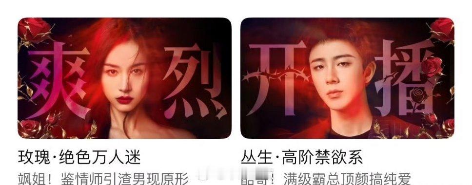 有人在意吗？🐧又抬了一部剧，这档期怕是炮灰