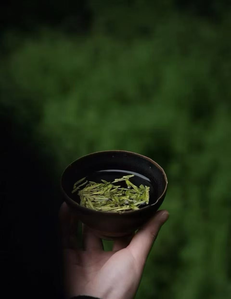 茶道  风里是茶香，杯里是春天。来喝茶，把山风与春意一同带走。 