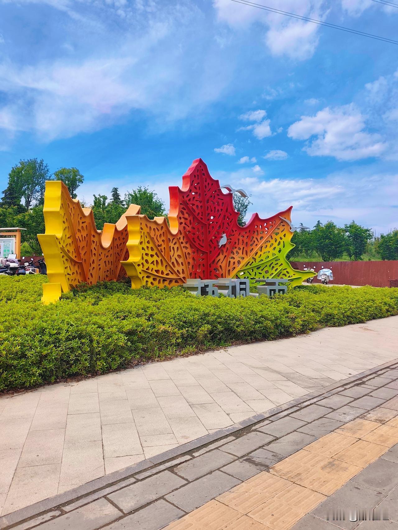 武汉人也太会找地方了！发现东西湖一个完全免费的神仙公园，不用花一分钱，就能一次性