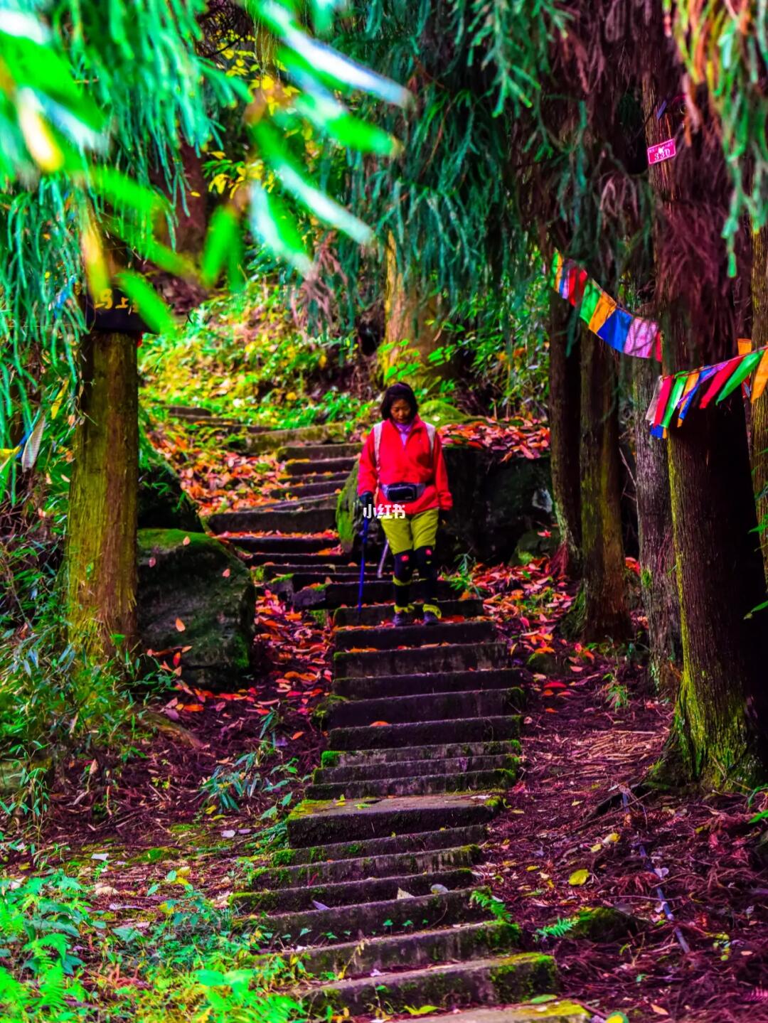 成都私藏徒步圣地|一座山一座寺七座亭