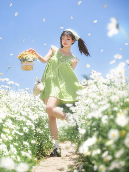 初夏小雏菊丨生活总要来点绿色💚