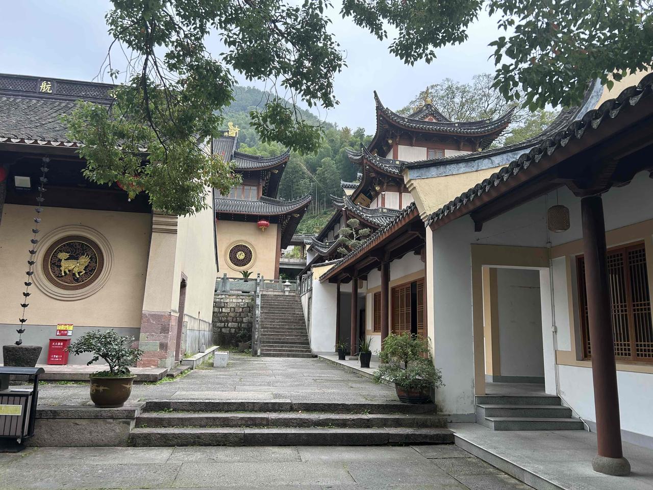 今天刷到一条微头条，看得我直拍大腿，再一琢磨，嘿，我自己也干过类似的糗事儿！
