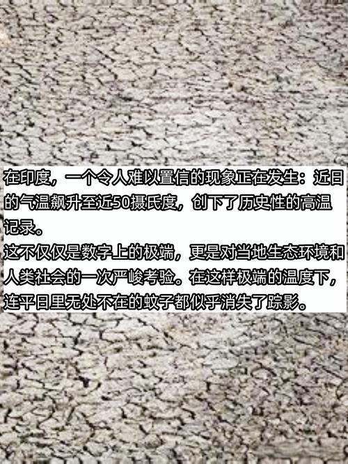 气温直逼47℃！高温缺水困扰印度多地，网友：全球气候该警醒了

45℃、47℃！