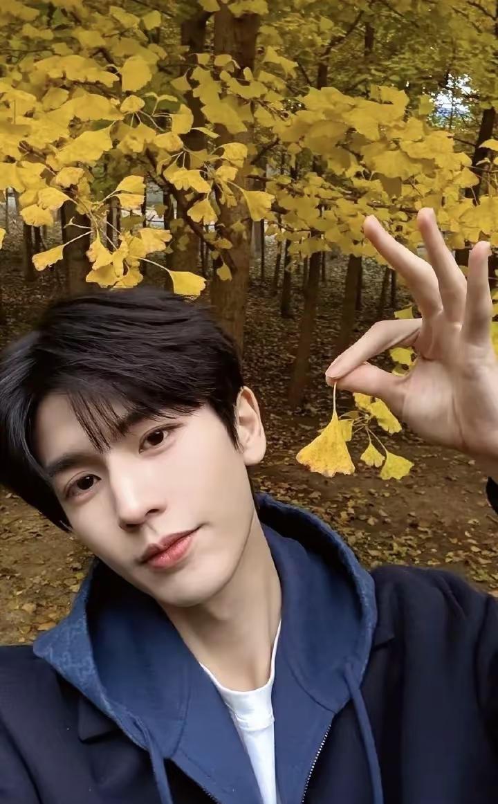 就是好看，就是养眼，老阿姨看了可以开心一整天🥰🥰