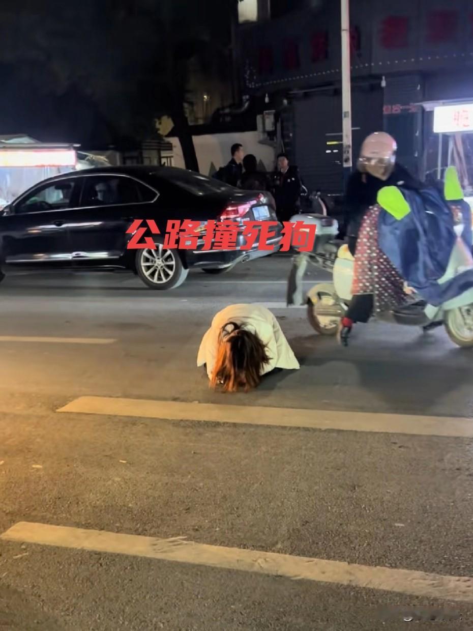 马路上撞死一条狗，又不是你家人装了，至于吗！哭的那么伤心，不就是一条狗，大街上被