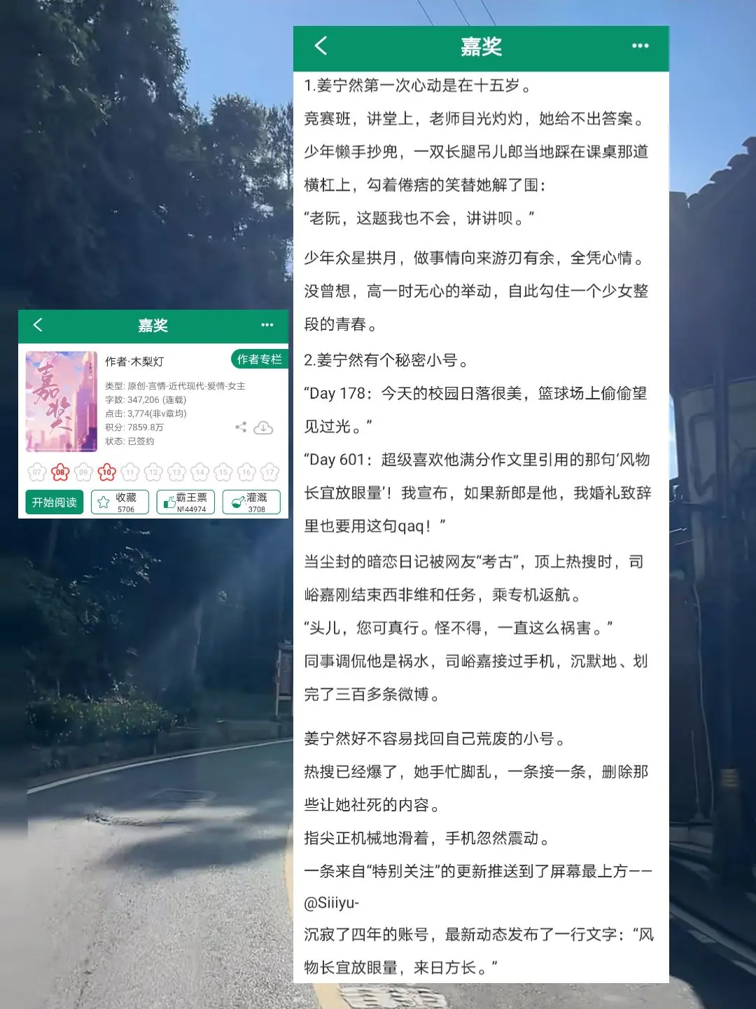 京圈天之骄子×少女暗恋成真，大学校园文！代入感超强酸涩拉满的暗恋