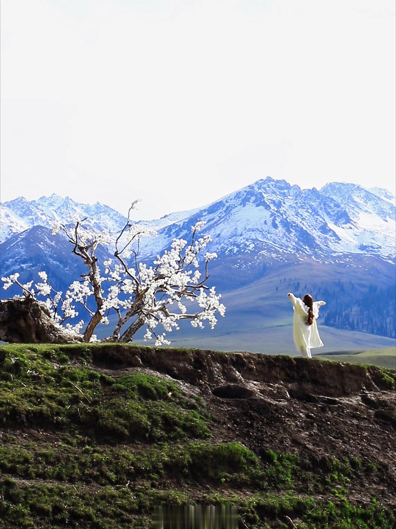 总要去趟新疆吧🍃⛰️ ​​​