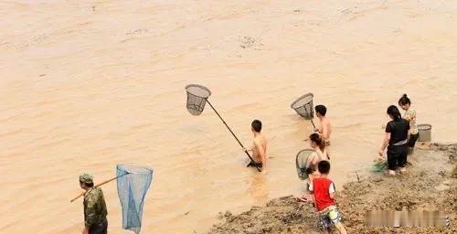 每年都出事，每年都有抓鱼人。
每年7月份的，8月份的时候，三门峡大坝都要防水调沙