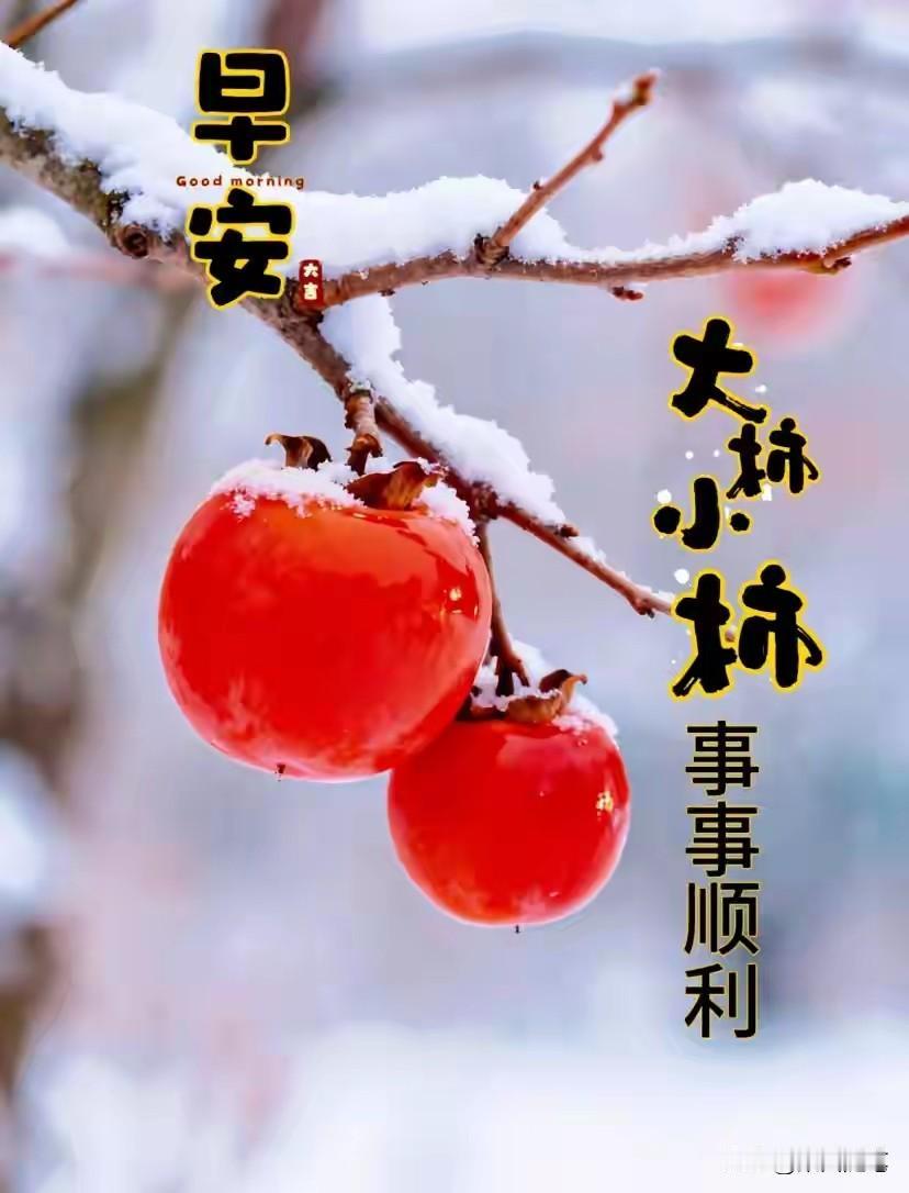 旱安语录，送给最亲爱的朋友，伴你幸福快乐健康每一天：

寒冬并非万物的沉睡，而是