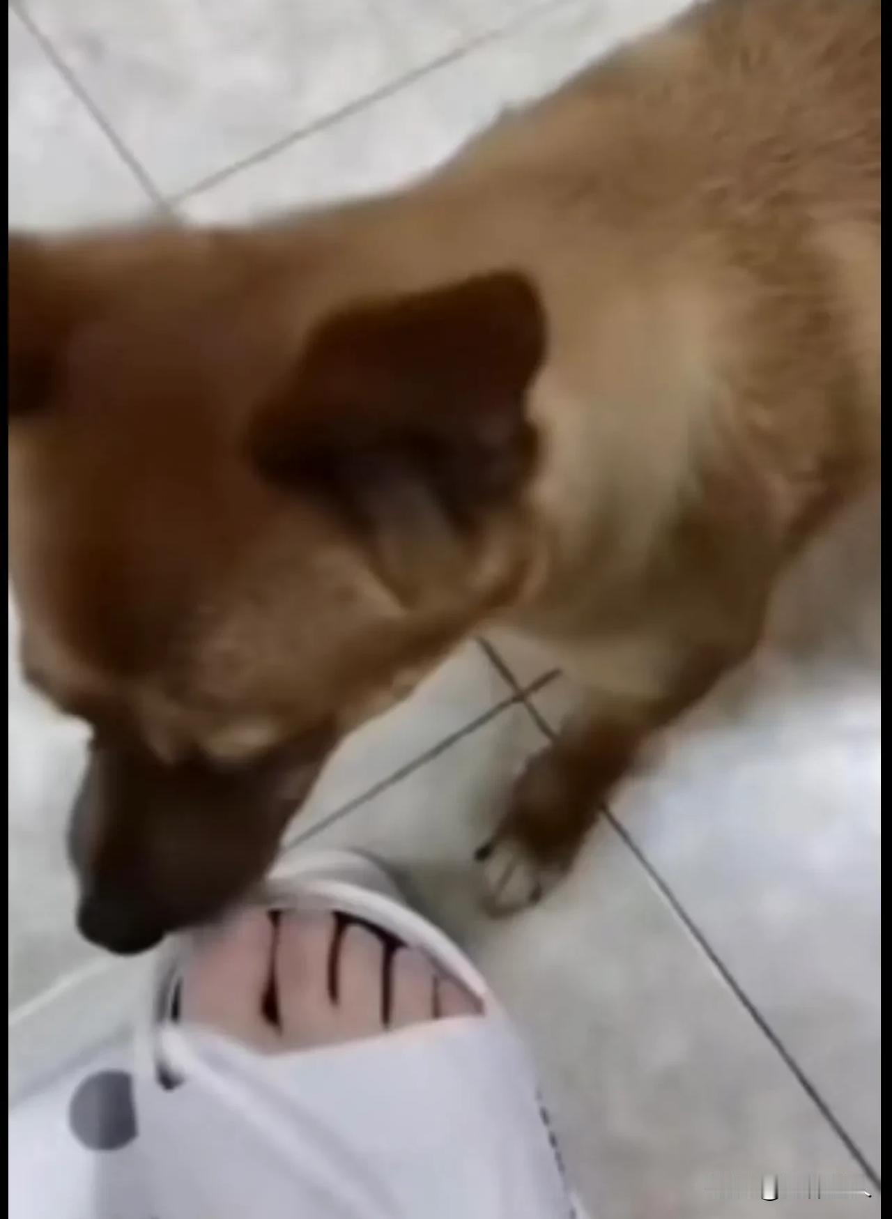 #人性的本质究竟是善良还是自私#

人性的本质是一个复杂的哲学问题，关于人性究竟