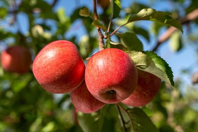 某大中介网站上，表面上是挂牌总数下降了，实际上是平台在清理僵尸房，特别是一年多都