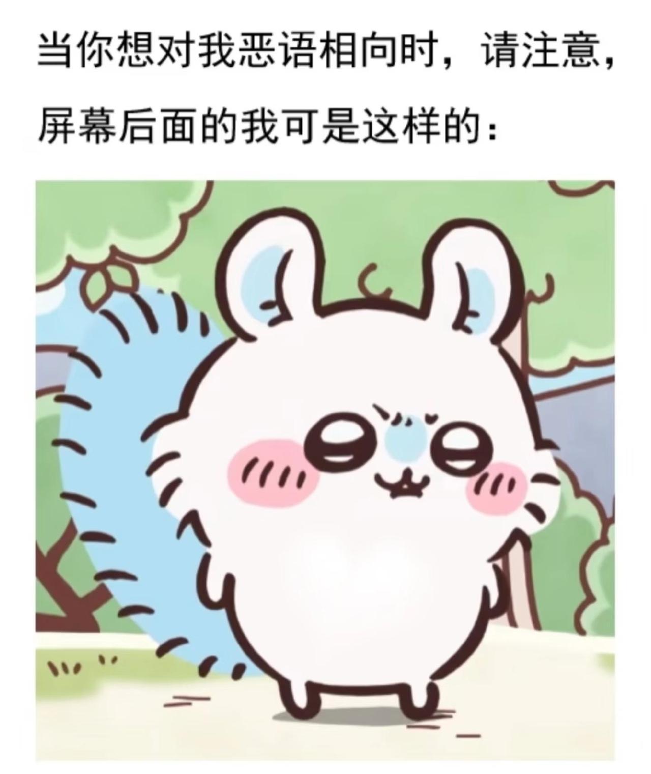 一波梗图来袭
图源网络 侵删
chiikawa 飞鼠