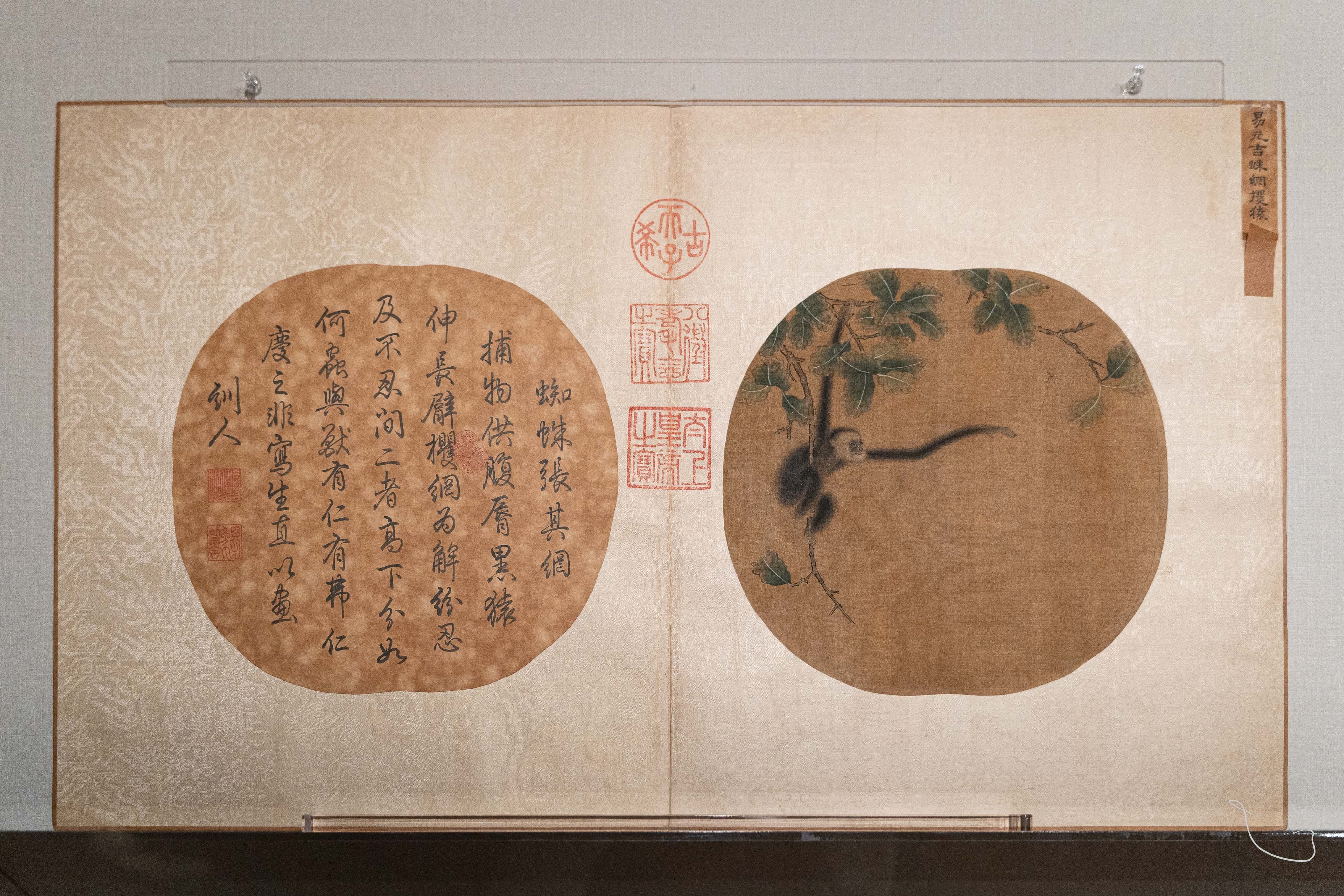 约会博物馆 「宋·易元吉·蛛网攫猿图页」此图绘一长臂猿猴，左臂高举，正要去抓获远