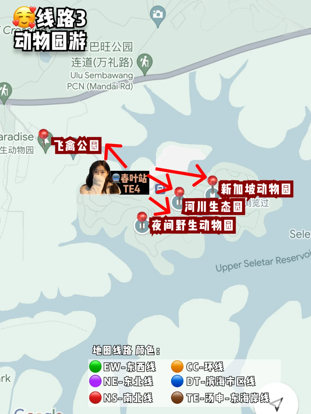 坐地铁玩转新加坡‼️附路线规划&地铁线路🥰