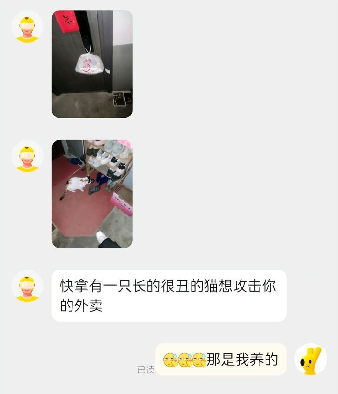 有一只很丑的猫想攻击你的外卖 ​​​