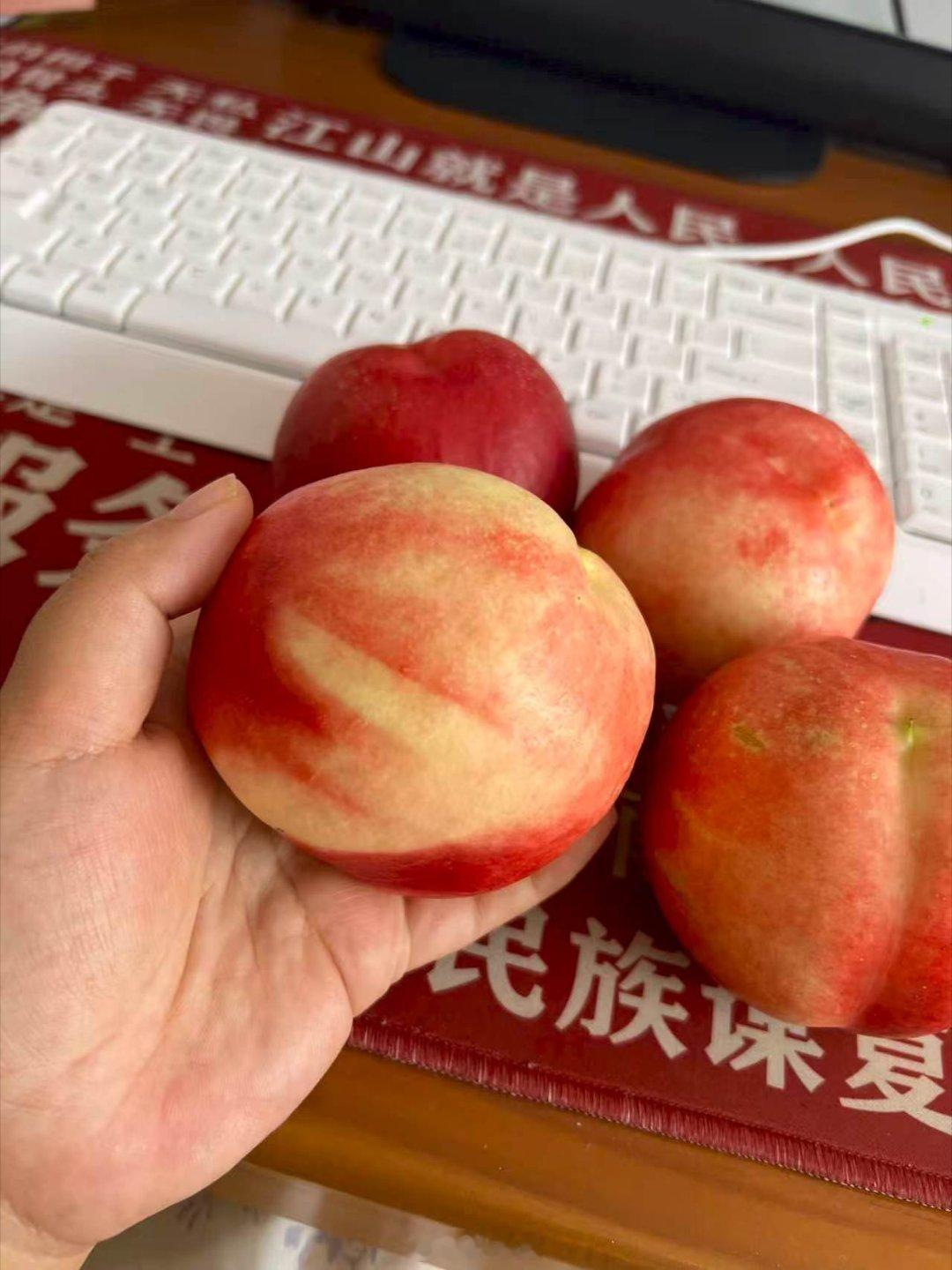 转发，抽奖。六月美油桃来啦！脆硬桃。29.9元一箱，净重4.5斤左右。桃子外表红