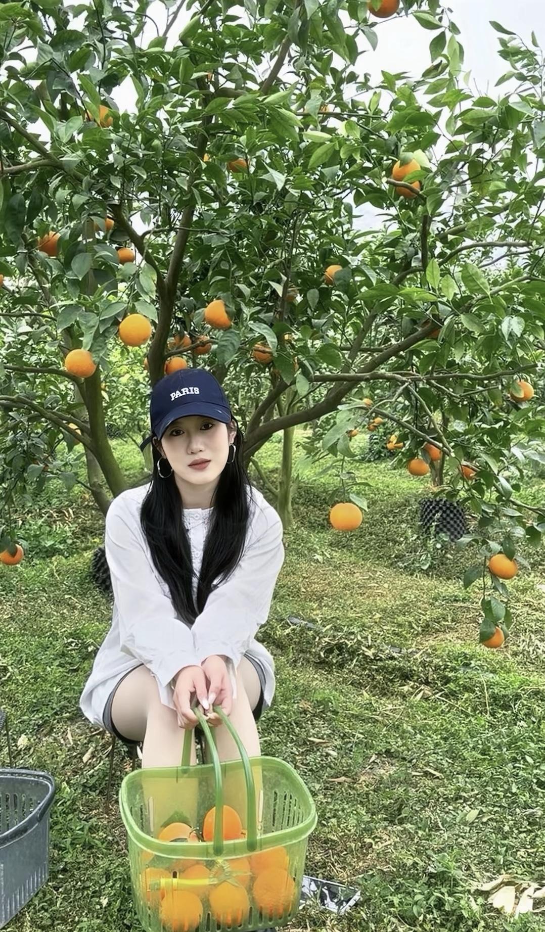 你今天最大的快乐是什么体验了亲自下果园