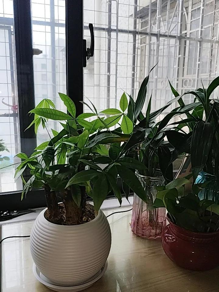 人到中年才慢慢读懂，生活从来不是一蹴而就的童话，而是日复一日的踏实前行。很多时候