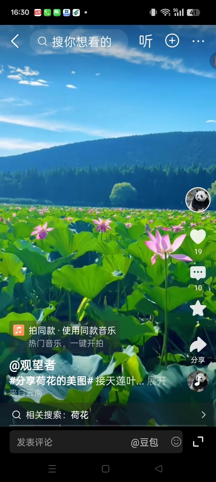 绿叶红花随风摇摆，荷色秀美香飘十里。