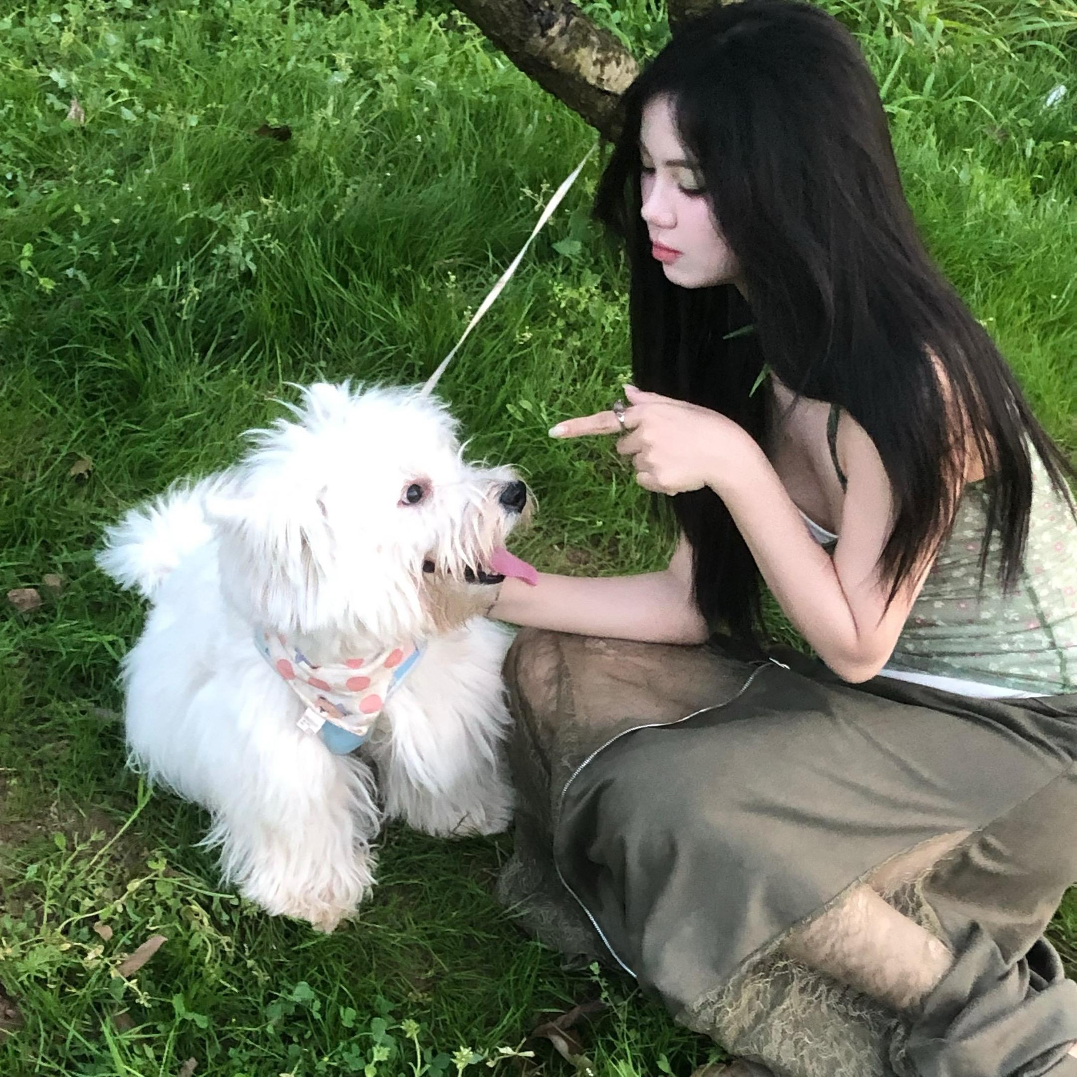 有迹可循的moment。