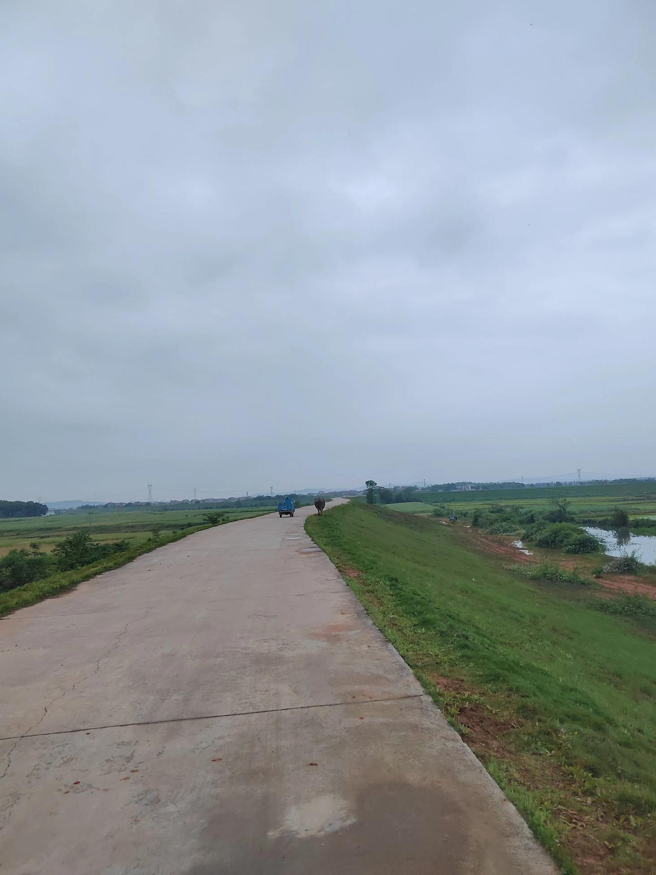 喜欢在大自然之中锻炼

其实我也知道，塑胶跑道最保护膝盖，但我最喜欢在大自然中锻