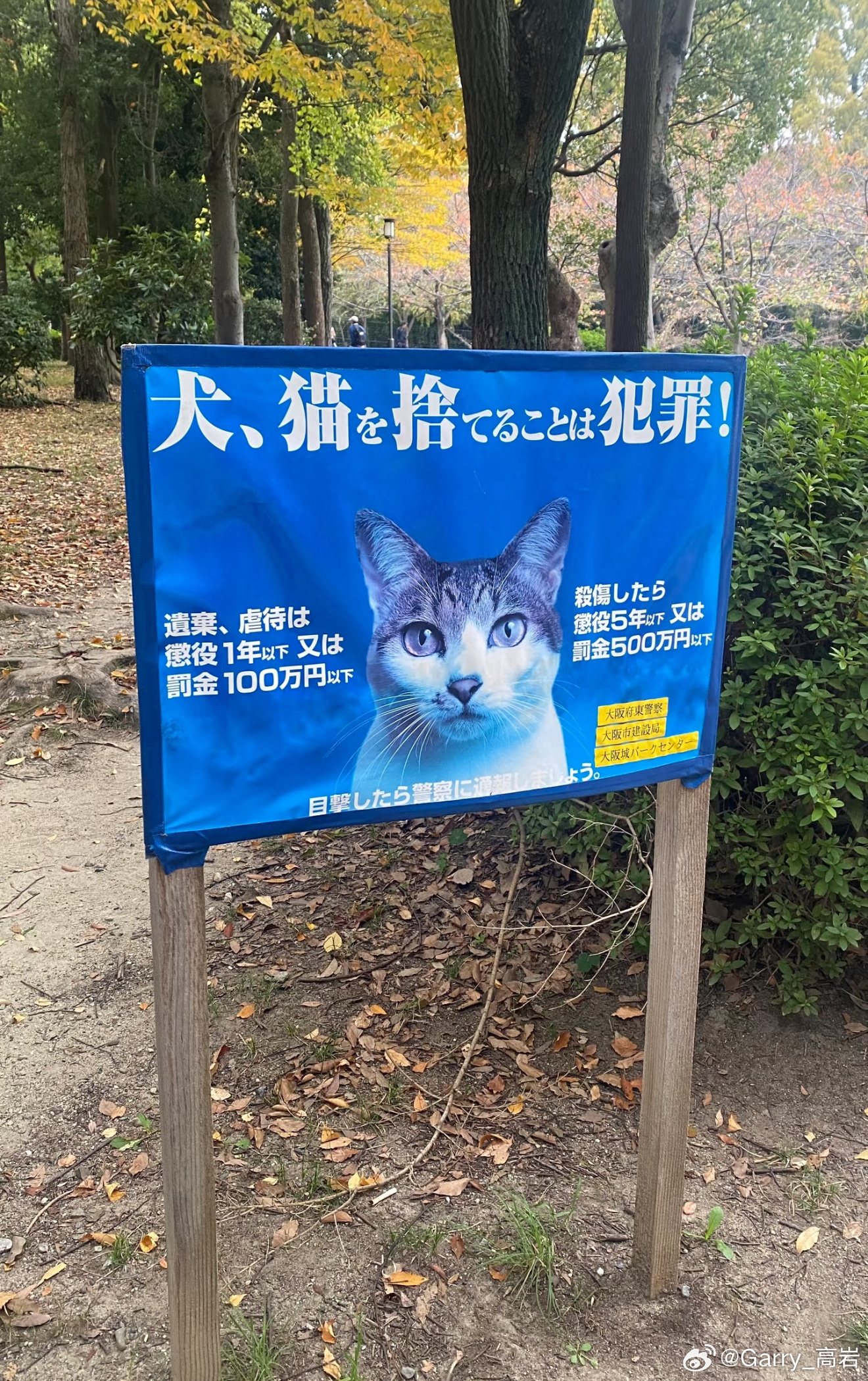 成都一小区投票表决扑杀流浪狗其实要从根源杜绝的话就很简单，直接成立动物保护法，这
