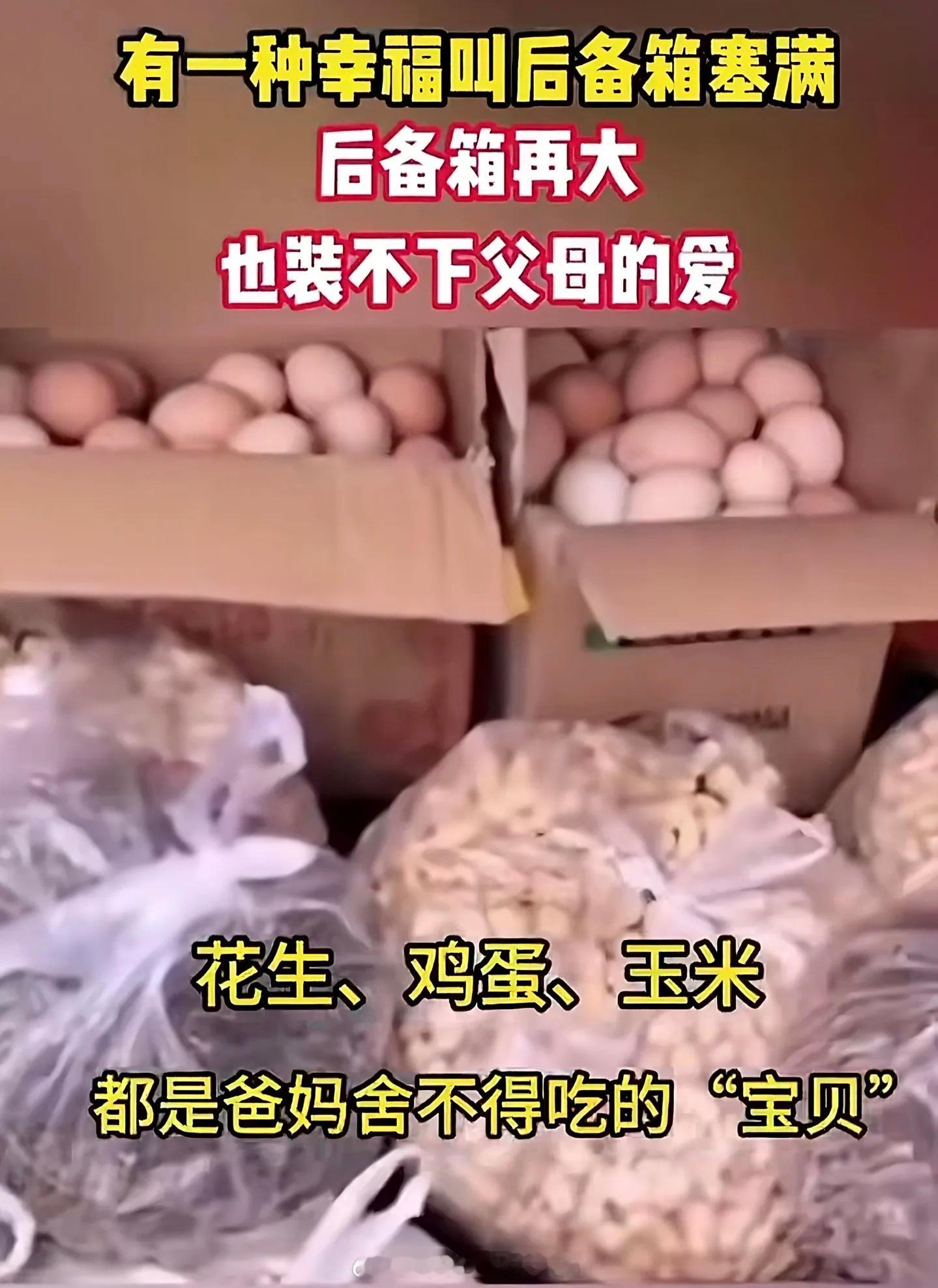 后备箱满满心空空春节后备箱满满的爱！ 