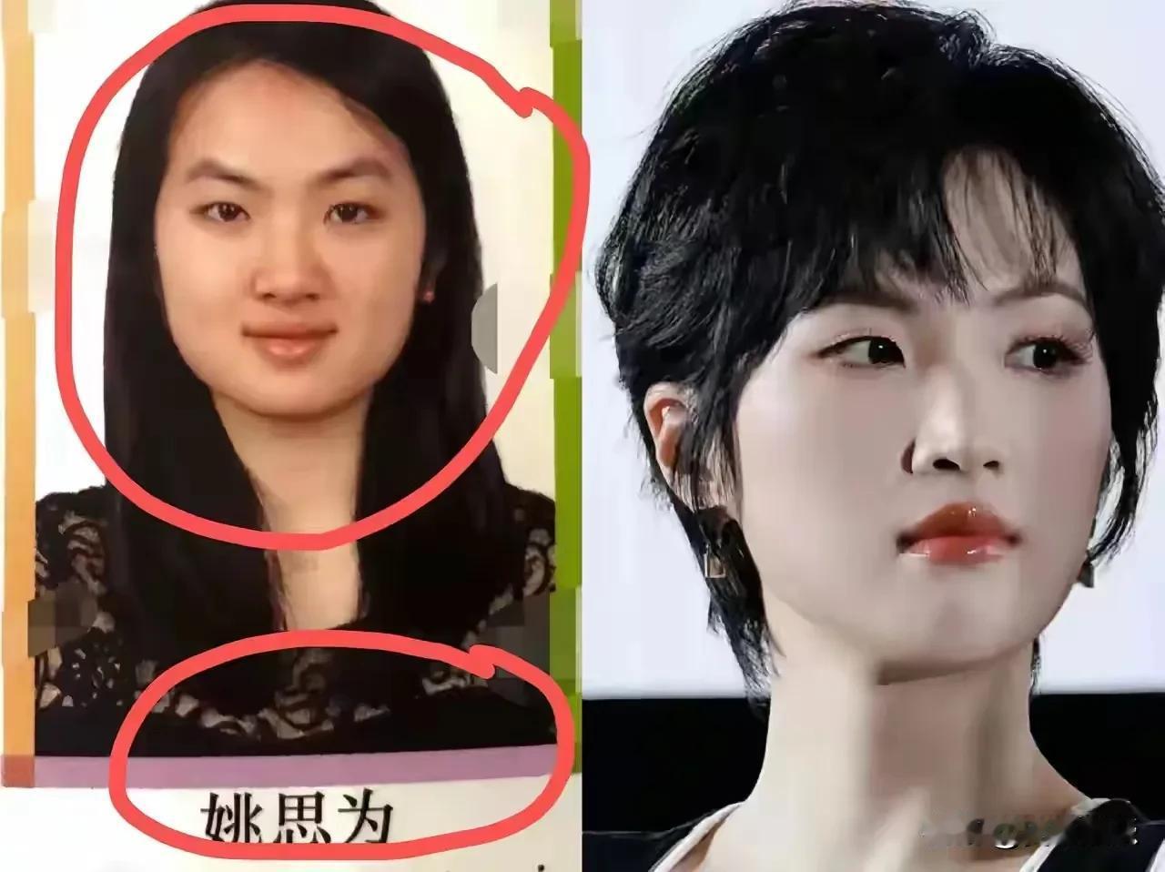 姚思维还是跟任正非很像的，姚安娜不太像。