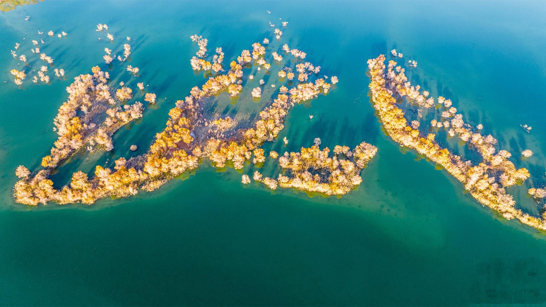 珠链 新疆｜葫芦岛#大美新疆#  