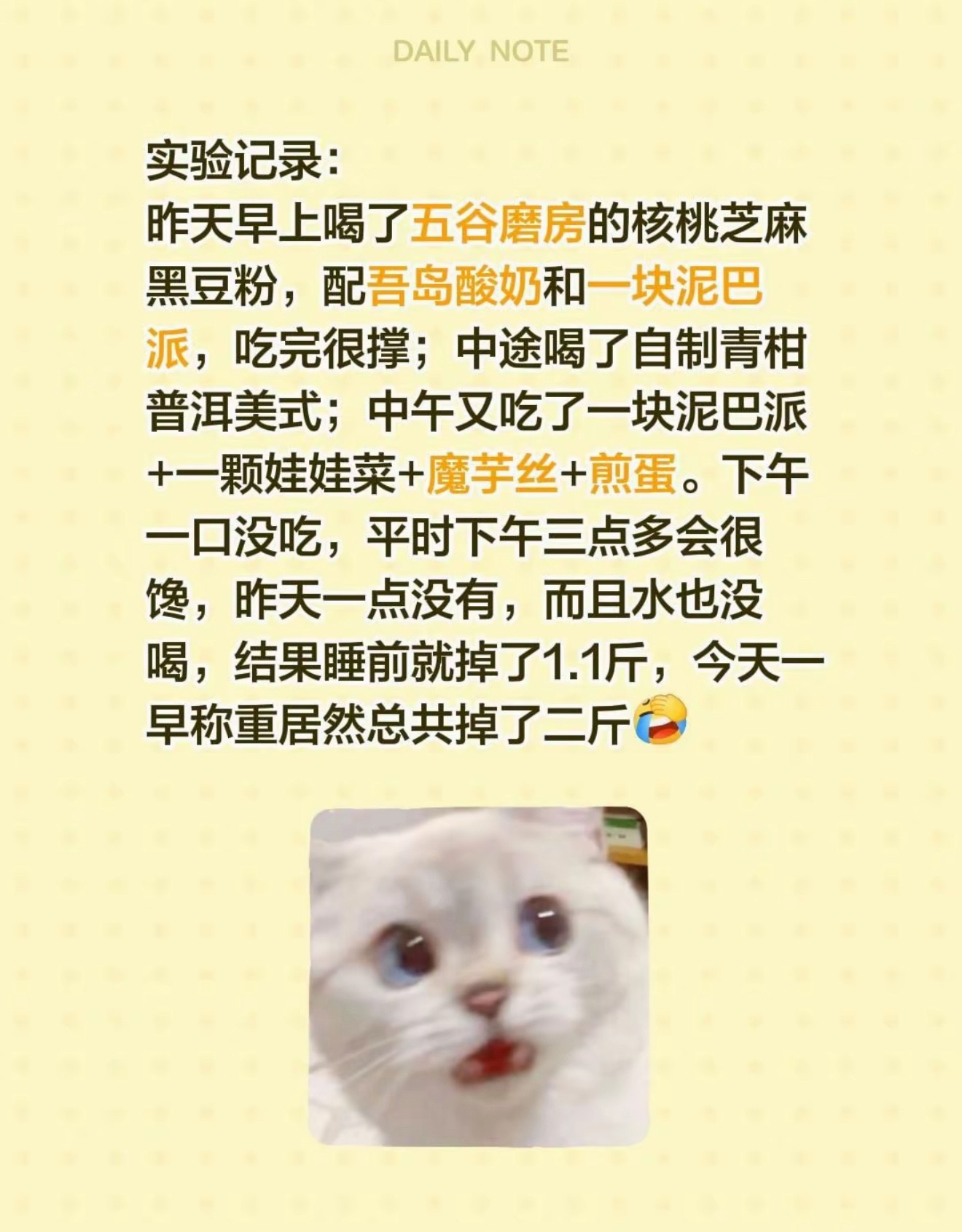 难道说… 