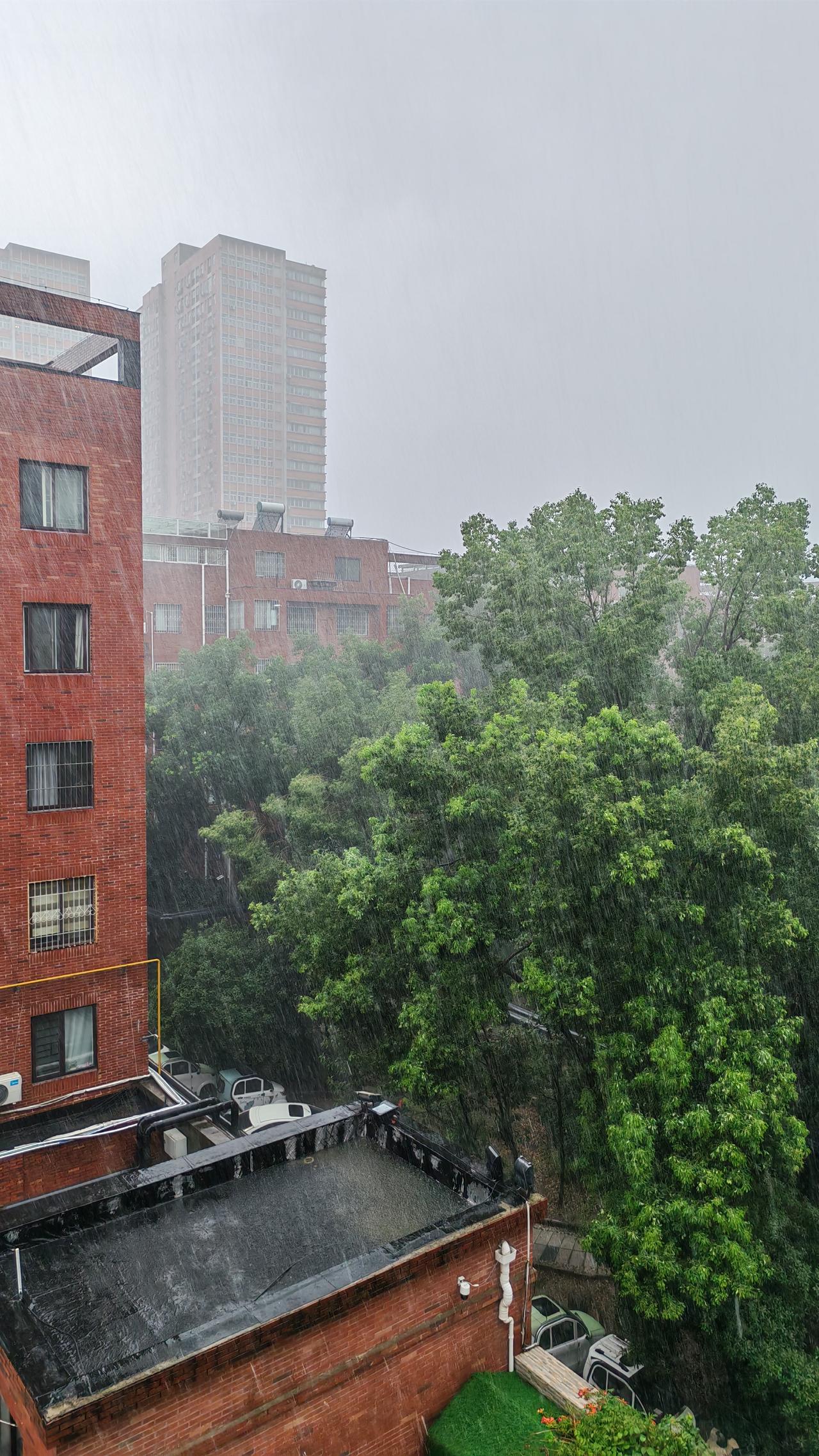 驻马店这暴雨说来就来，一下还真挺凉快！就跟开了个天然大空调似的。之前热得那几天，