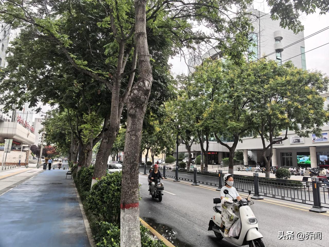 【七绝·老树新蝉】
老树新蝉老调弹，
谁知入耳若琴弦。
三伏暑气虽犹在，
闻此清