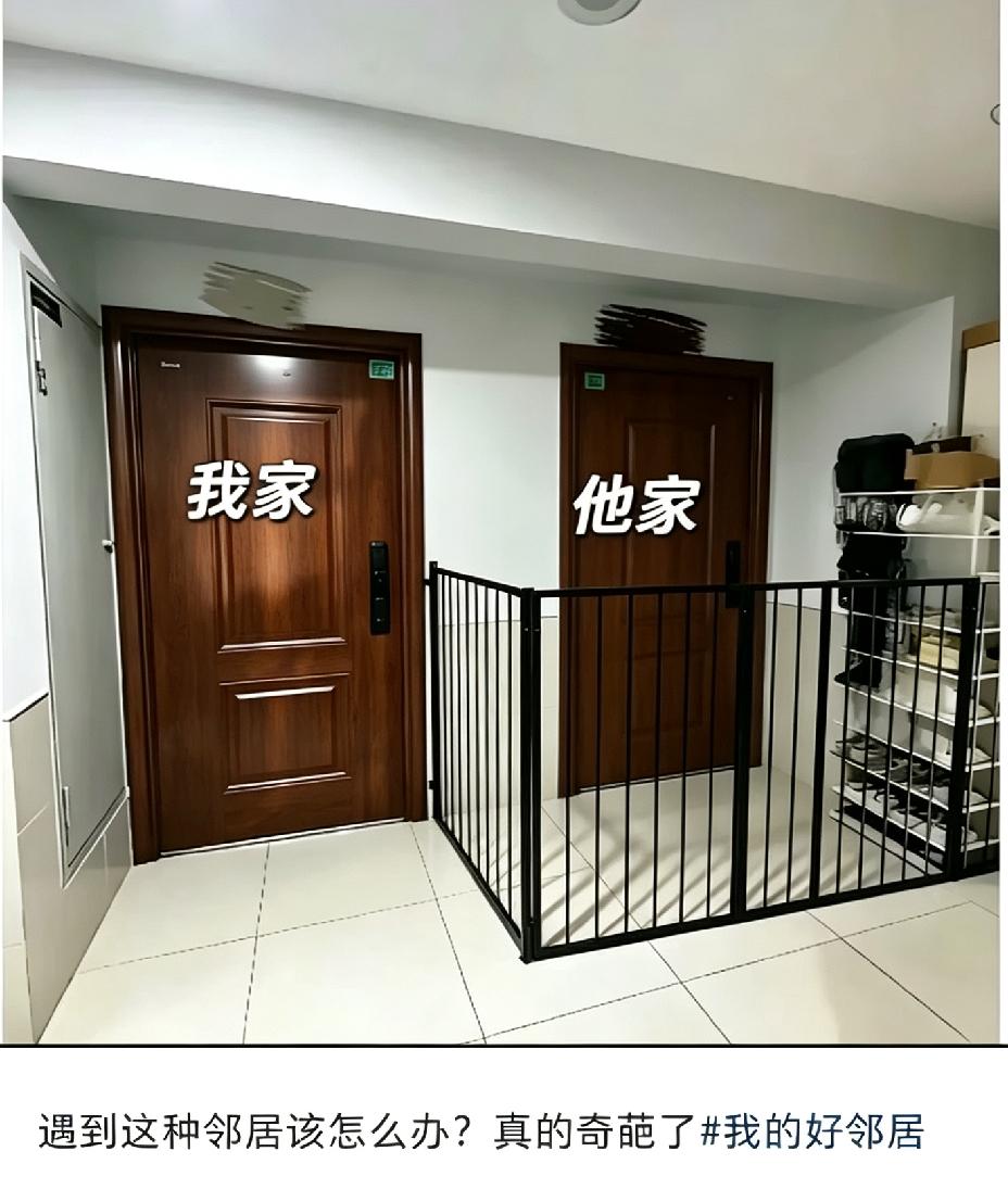 如果你家遇到这种邻居，你会怎么办？