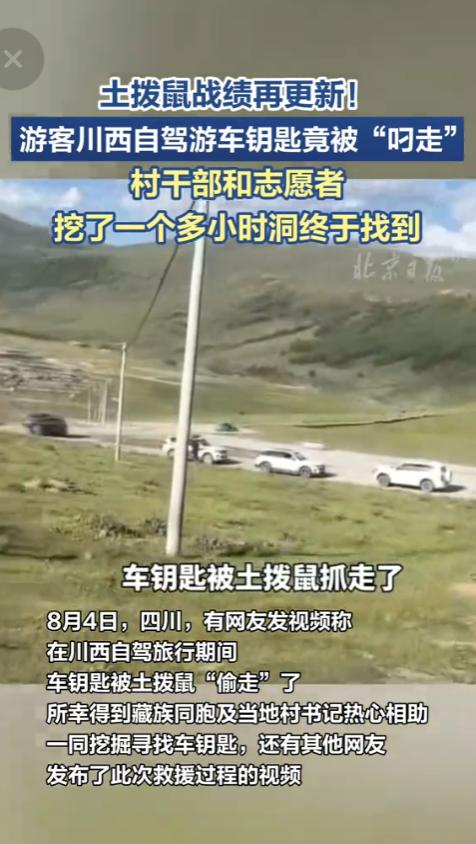 成精了！四川甘孜，游客正准备享受风景，没想到自家的车钥匙被一只“土拨鼠盗贼”给顺