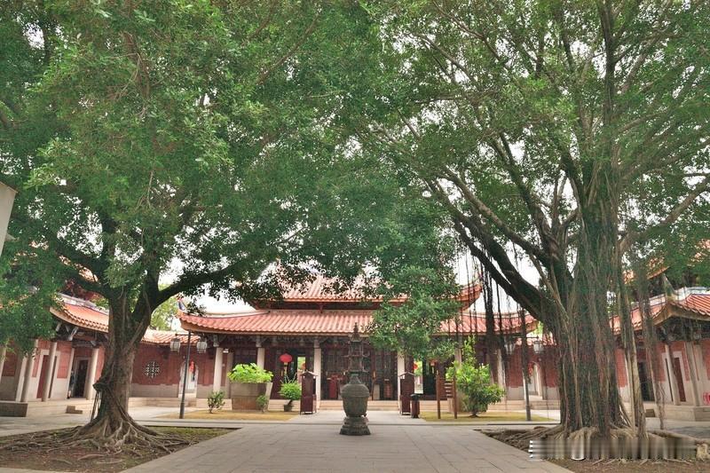 活到中年才懂：弘一法师说的“放生”，从不是放鱼放鸟
 
你以为弘一法师说的“放生