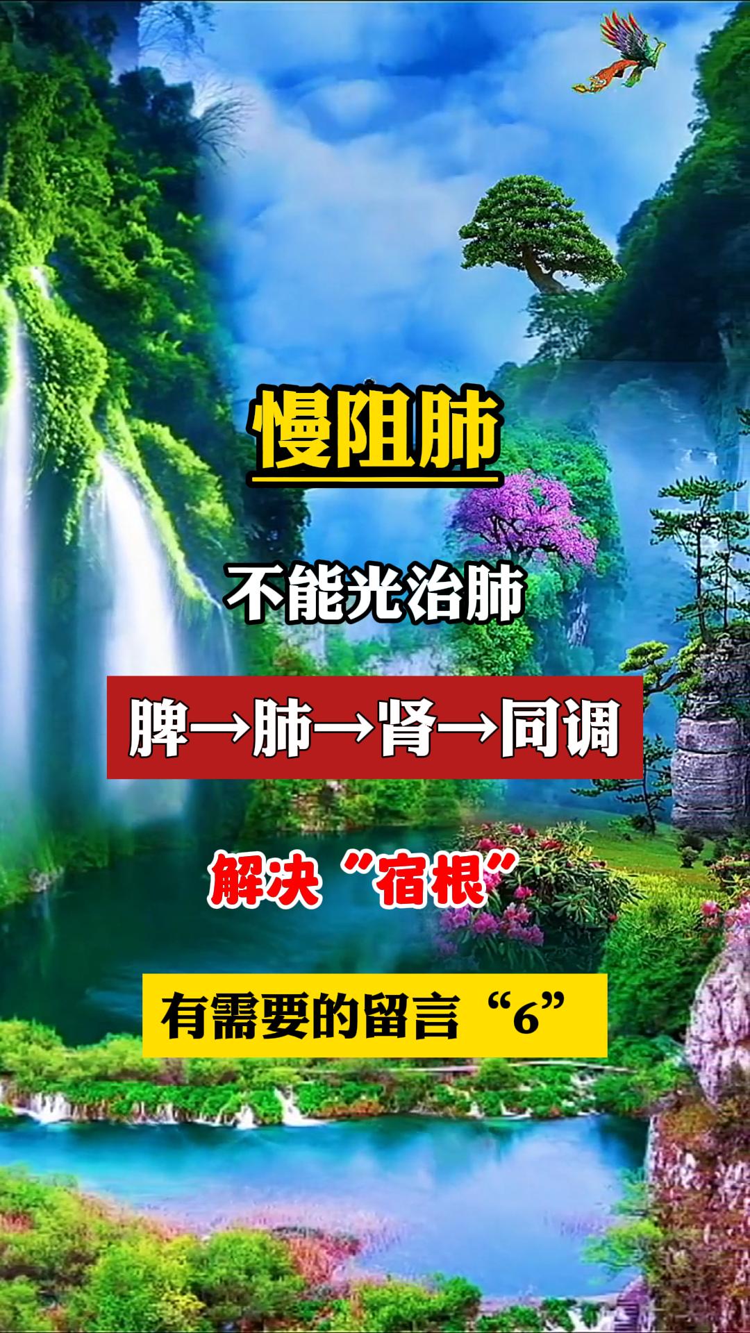 慢阻肺 健康科普 呼吸科