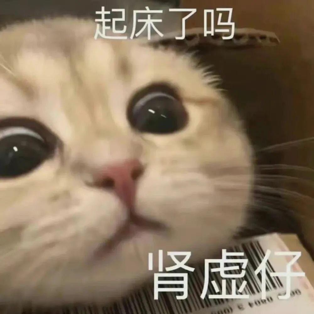 可以用很久的表情包 ​​​