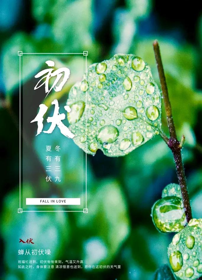 好的，我将为您创作一首关于初伏下雨的七律诗：
《初伏雨意》
初伏细雨润心田，清爽
