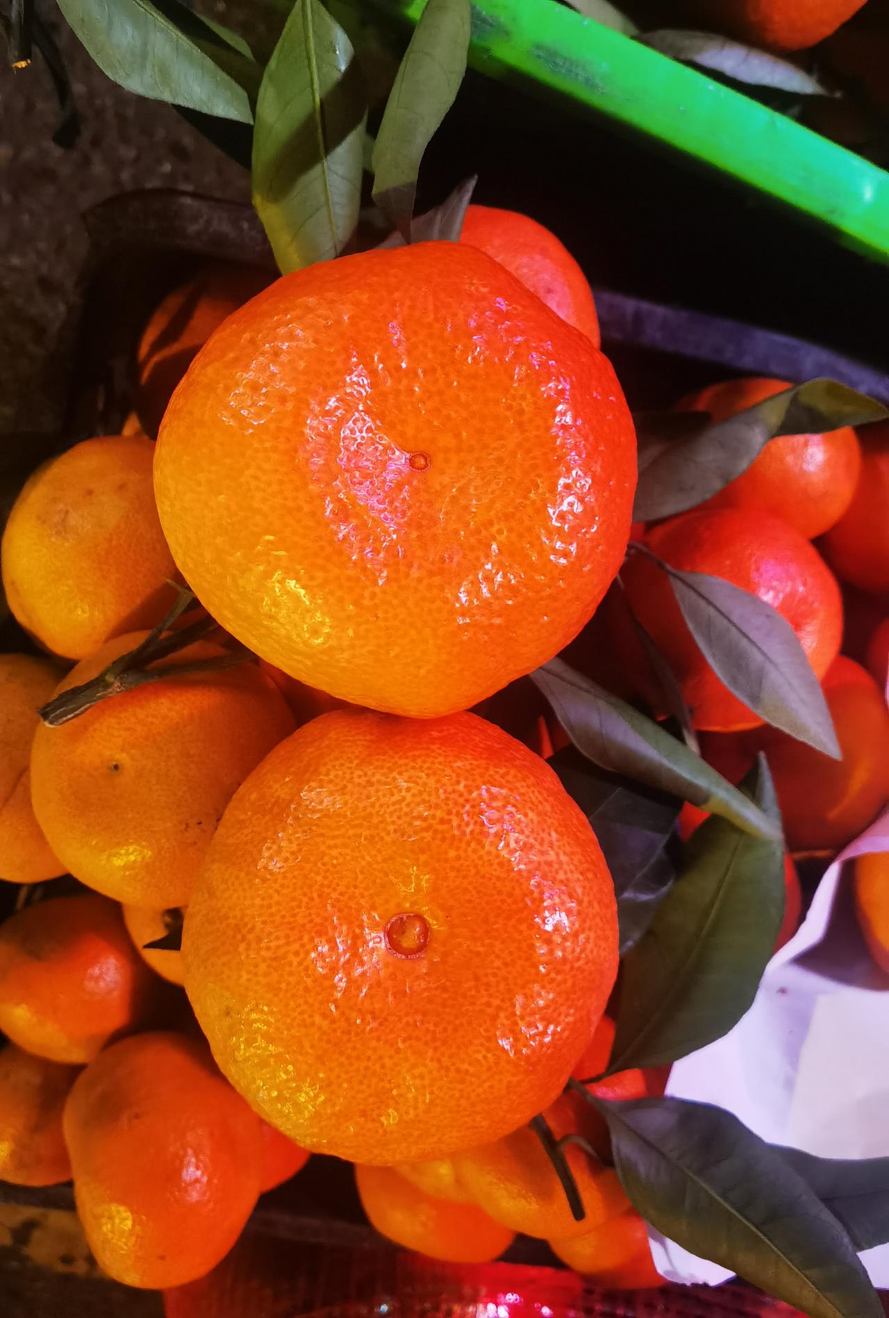 作为销售老油条，我有话要说，
涨知识了！蜜桔还分公母？
条友们，猜一猜，哪个是公