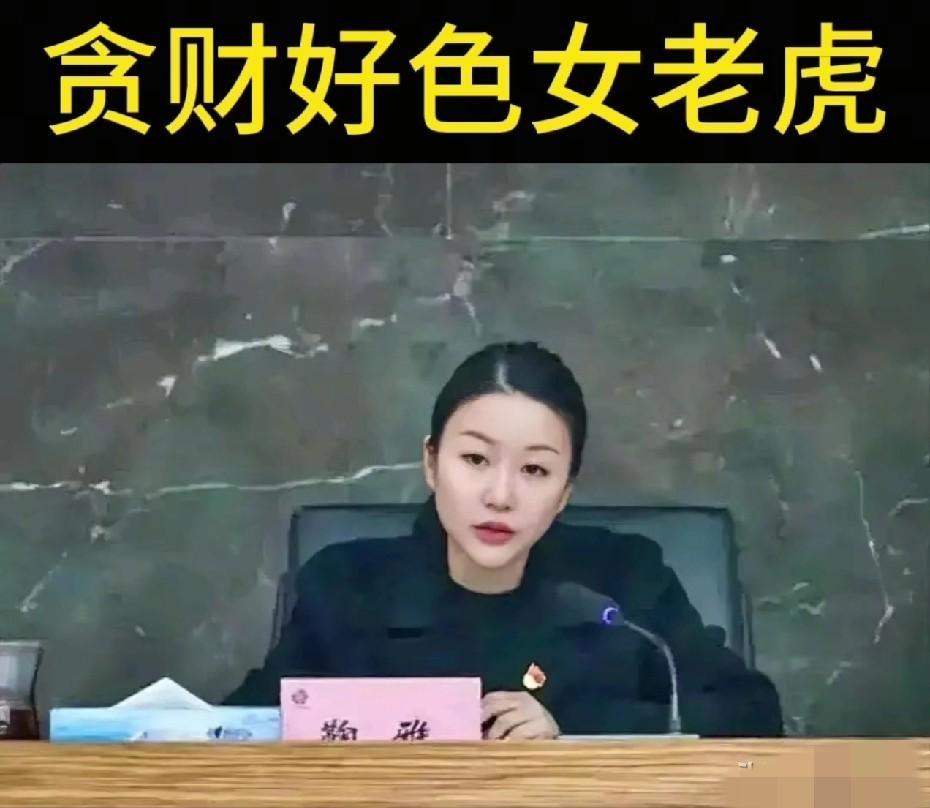 鞠雅这升迁速度快得让人有点恍惚。

21岁大学毕业，26岁提了副科，35岁直接掌