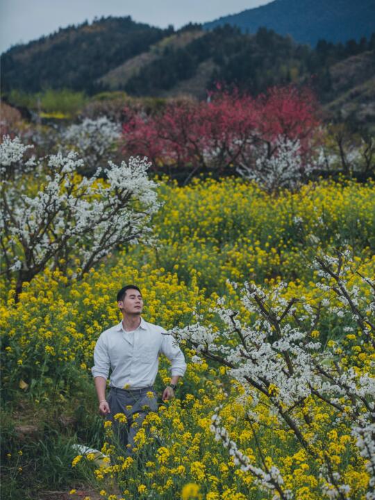 广东私藏的桃花源秘境！解锁九峰春日油画