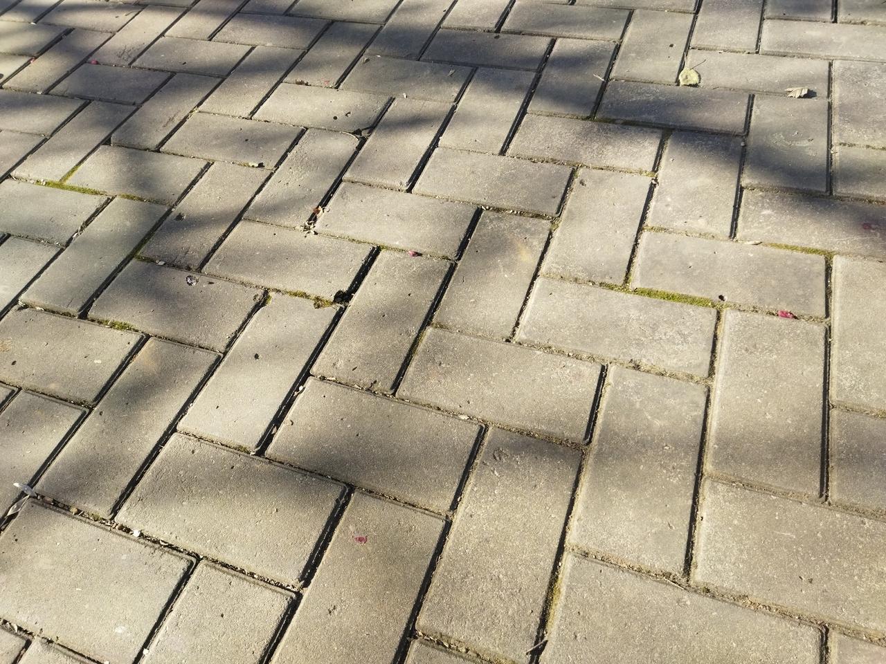 冬日生活打卡季阳光很好，温度很低，外面很冷，注意保暖。