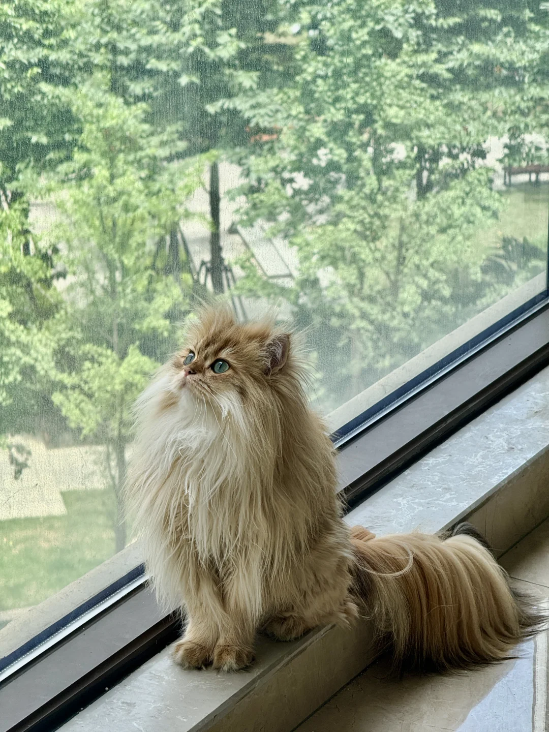 人！在吗？！看看你家小宝🐱🐶