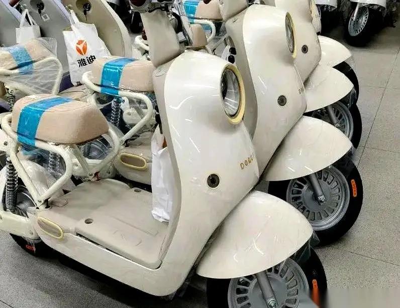 电动自行车新国标实施，按说这是好事儿，更安全、更智能了。但这500—1000元的