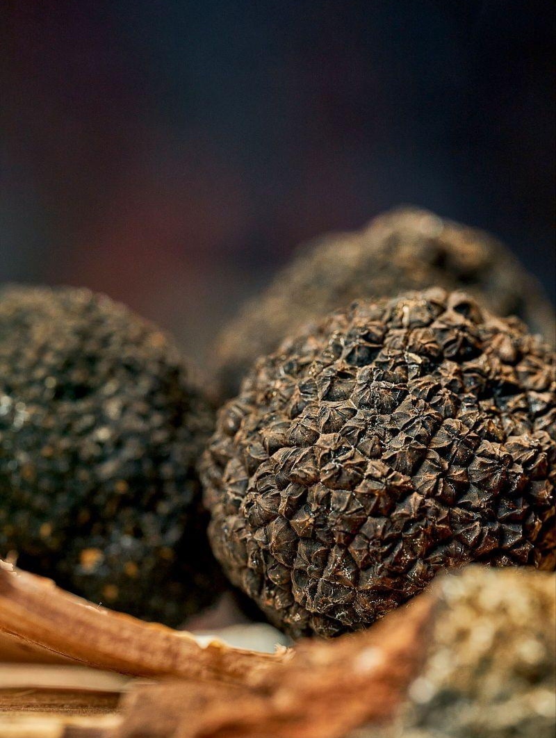 黑松露为什么比黄金还贵不知道大家注意到没有，去餐厅吃饭点餐，凡是菜品里带有黑松露